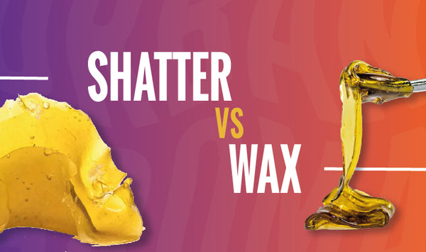 shatter vs wax